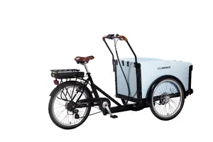 Elektrische 250W/500w erwachsene dreirad mit open cargo-box 36V/48v cargo bike