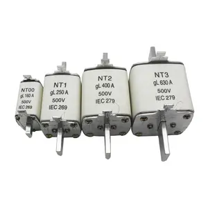 China high quality electric NT00 NT1 NT2 NT3 NH00 NH1 NH2 NH3 160A 250A 400A 630A Plug in ceramic fuse