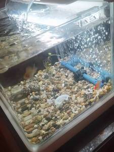 <span class=keywords><strong>Aquarium</strong></span> decoratieve steenbalk buis rechthoekige belmuur luchtverspreider voor viskom zuurstofvermeerdering - Product Image 3