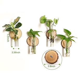 Tubos De Teste De Decoração Casa Personalizada Planta De Ar Terrário Estação De Propagação Parede Pendurada Planta De Propagação Com Gancho De Madeira - Product Image 2