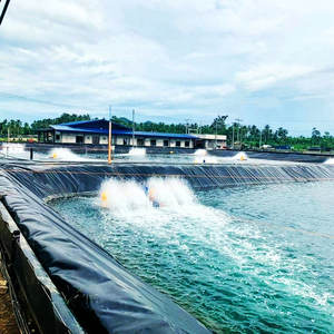 Nouveau matériel <span class=keywords><strong>prix</strong></span> d'usine géomembrane PEHD Linerr pour lagune/réservoir/couvertures flottantes industrielles en Australie/Indonésie - Product Image 3