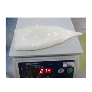 Nutritivo bajo en azúcar U10 tubo de calamar y calamar entero congelado hecho en China tubo de calamar congelado Perú - Product Image 1