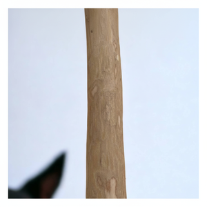 Palo para masticar perros de madera de café para perros de todos los tamaños Natural y seguro de Vietnam Juguete para perros de larga duración Listo para exportar 99GD - Product Image 1