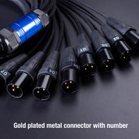 Câble Audio Multicœur XLR Professionnel à 8/12/16/20/24/32 Canaux avec Boîtier de Scène, Usine OEM/ODM