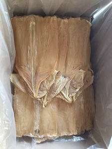 ปลาหมึกแห้งคุณภาพส่งออก ความชื้นต่ำ ตากแดดธรรมชาติ ปลาทะเลแห้งทั้งตัว น้ำหนัก 10 กก. ขายส่ง แพ็คเกจ OEM เกรด A1-A5 - Product Image 6