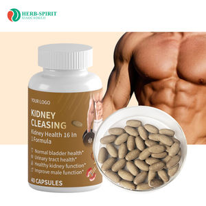 Tersedia suplemen pembersih ginjal Premium Formula dukungan ginjal yang kuat membantu mendukung penopang Ginjal sehat & saluran urin - Product Image 1