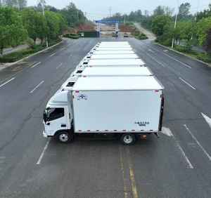 Gekoelde Vrachtwagen, Ollin Jeugd Onoverwinnelijk - Product Image 4