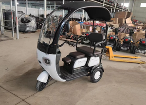 Tricycle Électrique <span class=keywords><strong>3</strong></span> <span class=keywords><strong>Roues</strong></span> 600W 800W 1000W le Plus Vendu pour le Transport de Passagers et la Livraison de Repas - Product Image 5