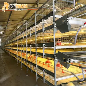 Modern Design Automatic Broiler Chicken Battery Cage System for Indonesia poultry farming