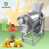 Mangue Pinnapple Mulberry Large Comericals Jus d'orange goyave Melon Fruit Juicer Make Press Machine