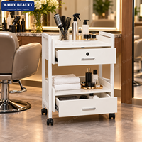 Chariot de Salon de Coiffure Professionnel, Chariot de Rangement Esthétique Mobile avec 2 Tiroirs, Étagère Ouverte, Verrou et Roulettes