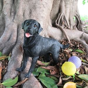 Tuin Standbeeld Hond Klant Hars Labrador Hond Standbeeld Levensgrote Ontwerp Sculptuur Realistische Hond Dier Hars Ambachten - Product Image 5