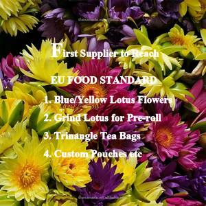 ชาบัวหลวงสีน้ำเงินมาตรฐานสหภาพยุโรป ดอกแห้งออร์แกนิกขายส่ง สำหรับดูดซึมสารสกัดจากดอกบัวหลวง นิมฟาเอีย เตตรากอน่า 500 กรัม/แพ็ค - Product Image 3