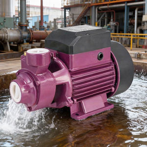 Bomba de Agua ZHELI QB60 para Riego Agrícola, Doméstico y Familiar, Bomba de Agua Periférica con Motor Eléctrico de 0.5hp, Personalizada y Fundida - Product Image 1