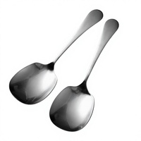 Cuillère de service extra-épaisse en acier inoxydable 316L, grande louche à soupe, finition miroir poli sablé, cuillère de luxe légère