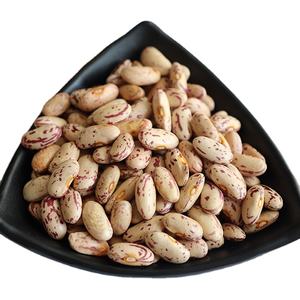 Fábrica OEM ODM Dry Non GMO Light Speckled Pinto Beans Frijoles de riñón rojos y blancos - Product Image 1
