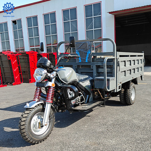 Motocicleta de Tres Ruedas a Gasolina de 200cc, Triciclo de Carga con Plataforma Abatible, Vehículo de Transporte Agrícola - Product Image 3