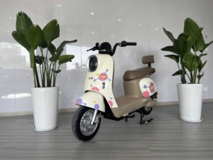 Scooter d'usine 2025, 450 watts, puissant, pour adultes, Thaïlande, Vietnam, Cambodge, moto à deux places - Product Image 3