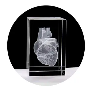 Coração anatomia modelo cubo de design cristal 3d laser, gravura cristal com sistema de sangue visível detalhado