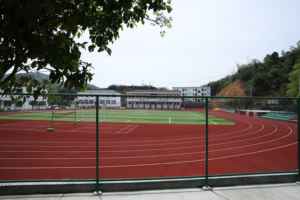 INOLP IAAF Aprobado 12mm Suelo deportivo elástico Permeable al aire y resistente a los rayos UV Pista de entrenamiento atlético profesional para correr - Product Image 4