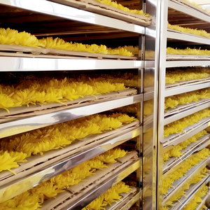 Dịch vụ khay Cổ Phiếu lớn của 304 thép không gỉ xếp chồng lên nhau làm khô xe, trái cây và rau cá khô khay - Product Image 3