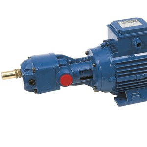 Made in italy pompa ad ingranaggi volumetrica ad albero nudo tipo flangiato APF trasferimento di liquidi lubrificanti ghisa 9,1 cm3/rev - Product Image 1