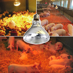 100W 150W 200W 250W <span class=keywords><strong>Lampe</strong></span> <span class=keywords><strong>chauffante</strong></span> pour animaux <span class=keywords><strong>Lampe</strong></span> <span class=keywords><strong>chauffante</strong></span> vétérinaire Poussins Volaille <span class=keywords><strong>Lampe</strong></span> <span class=keywords><strong>chauffante</strong></span> pour poulets - Product Image 3