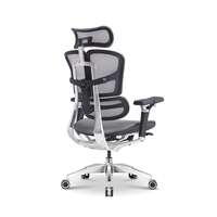 Chaise de bureau ergonomique pivotante en maille pour PDG, avec support lombaire réglable, pour longues heures de travail, vente en gros personnalisée
