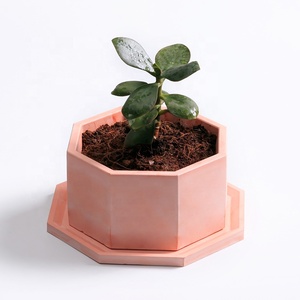 Molde geométrico antiadherente para maceta de plantas suculentas, molde de silicona para jarrón de cemento - Product Image 2