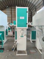 Machine de remplissage et d'emballage automatique verticale RH pour chips de pommes de terre, chips de bananes, popcorn à l'azote, snacks, noix, en sachets plastiques, Henan