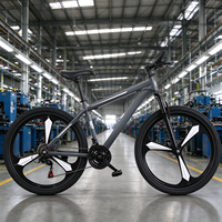 Vélo de montagne tout-terrain pour adultes de 26 pouces, 21 vitesses, frein à disque, fourche en acier, suspension avant, pédale ordinaire, écologique, capacité de charge de 160 kg