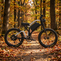 Fabricant OEM fiable, vélo électrique puissant longue portée 72v 3000w pour adultes, adapté aux terrains montagneux