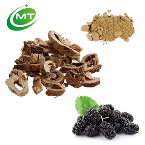 Free Sample Kosher Halal Organic High quality Organic 10:1 Cortex Mori White Mulberry Root-Bark Extract