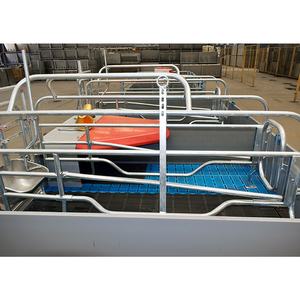 Jaula de Maternidad para Cerdas de Alta Calidad, 2.4*1.8m, Acero Galvanizado en Caliente, para Parto y Maternidad de Cerdas - Product Image 4