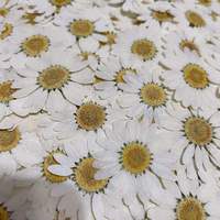 Fleurs de marguerite séchées pressées, couleur personnalisée, fournitures artisanales pour résine, cadre, autocollant, accessoires photo, DIY