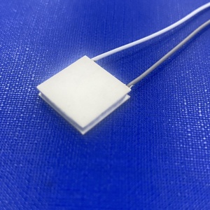 Chip Làm Mát Vi Nhiệt Điện 15X15Mm Tùy Chỉnh Để Treo Quạt Cổ - Product Image 1