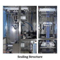 Machine d'emballage automatique de sachets liquides de forme irrégulière à deux voies pour gelée, gel énergétique et pâte