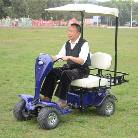 Низкоскоростной Одноместный Или Двухместный Электрический гольф-скутер с солнечной крышей, 24 В