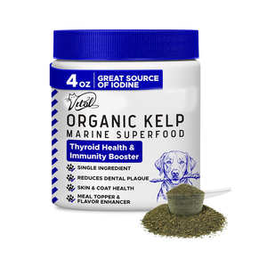 אצות טבעי תוספת אבקת תוספת עבור כלבים תמיכה חיסונית בריאות בלוטת התריס תפקוד בלוטת התריס עם העור & מעיל - Product Image 5