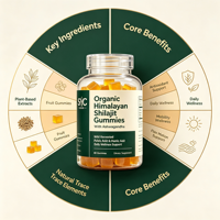 Gummies SYC BIO Shilajit de l'Himalaya 60 unités avec Ashwagandha et Acide Fulvique – Formule Végétale – Complément Quotidien pour la Vitalité au Quotidien