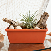 Pots de plantes auto-arrosants en plastique PP carré épaissi, trou de drainage, design minimaliste durable, capacité de 10,97 L pour le jardinage à domicile
