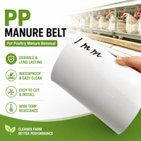 Bande transporteuse en PP à faible élongation pour fumier de volaille – Transport d'excréments, systèmes de cages à poulets multi-niveaux, remplacement économique