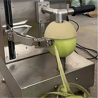 Multifunctionele industriële automatische hoogwaardige roestvrijstalen fruit- en schilmachine voor ananas, cantaloupe, pompoen en aubergine