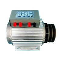 Générateur à aimants permanents compact et léger IP54, puissance 10 kW, courant 14,5 A, triphasé 380 V, boîtier en aluminium moulé, 100 % cuivre