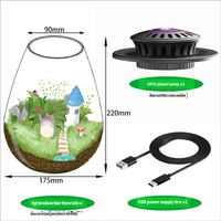 Ensemble de terrarium en verre borosilicate en forme de goutte d'eau avec éclairage pour plantes, récipient micro-paysager transparent pour plantes en mousse - Vente en gros