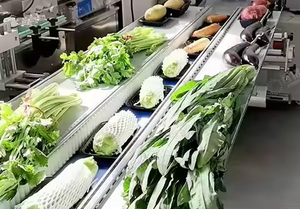 Horizontal Flow Food <b>Small</b> Mini Chocolate Toffee Pouch Packing Machine <b>Pillow</b> Packaging Machine for Sale - Product Image 6