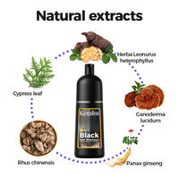 Crème colorante permanente Joynna au gingembre et ginseng 400ml, du blanc au noir, à base de henné naturel et d'huile de nigelle, sans ammoniaque