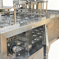 Ligne de production de capsules de café entièrement automatique Langtai, machine de remplissage et de scellage de gobelets à bulles de thé