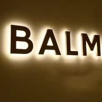 Enseigne de devanture personnalisée en acrylique 3D rétroéclairée par LED néon, étanche, pour salon de toilettage pour animaux, animalerie, entreprises automobiles, publicité