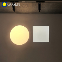 Projecteur portatif Gosun 15W à boîtier en aluminium, orientable à 42 degrés, mini spot LED de haute qualité pour rail